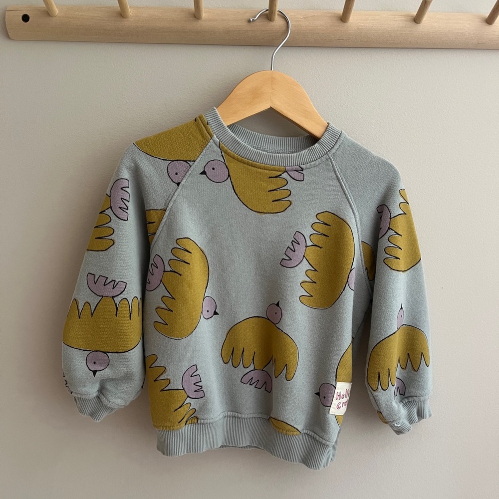 ZARA | NWOT Kids' Sweatshirt w/ Birds | 3T
